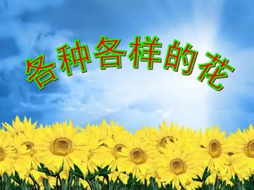 2-2各种各样的花
