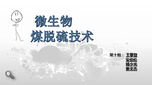 微生物煤脱硫技术(煤炭脱硫) WangPD; 120; DZ.Li; Yang SG;