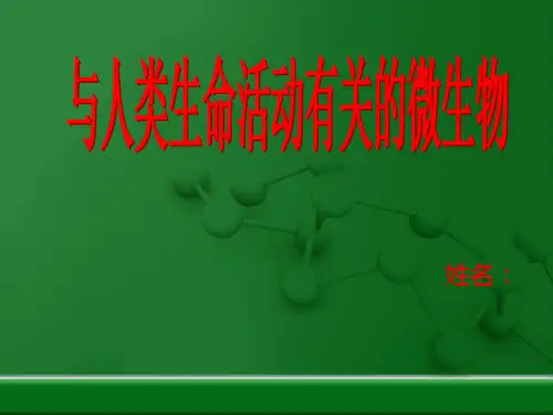 高级微生物 人体有关的微生物