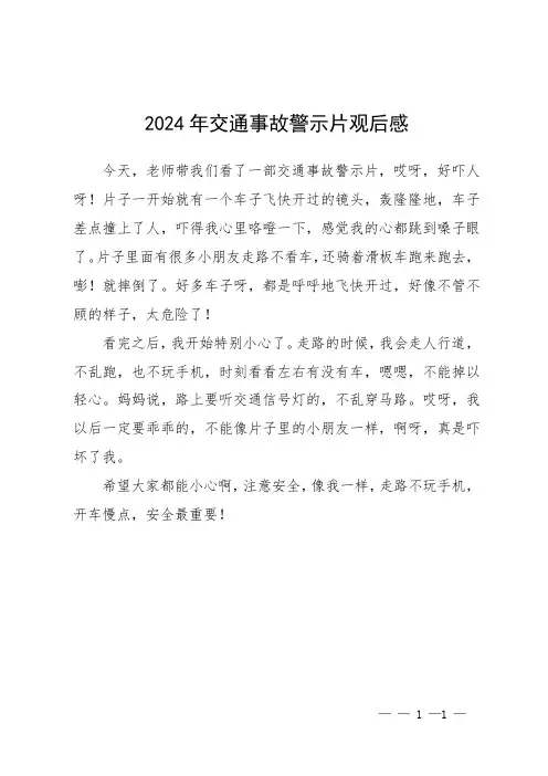 2024年交通事故警示片观后感