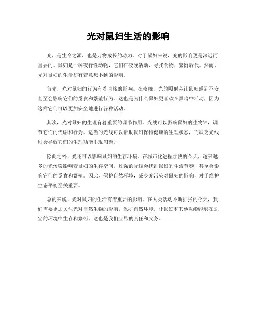 光对鼠妇生活的影响
