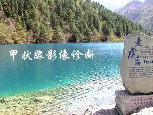 甲状腺影像诊断