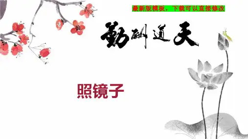 照镜子 幼教美术教案PPT模板下载