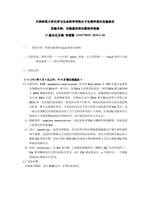 功能基因表达载体的构建