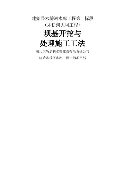 坝基开挖与处理施工方案