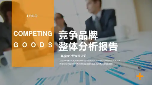 商务汇报PPT模板 (360)