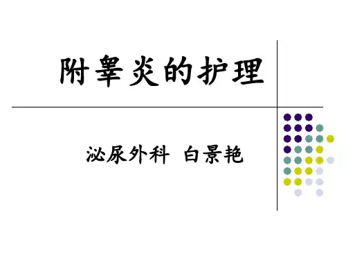 附睾炎的护理PPT课件