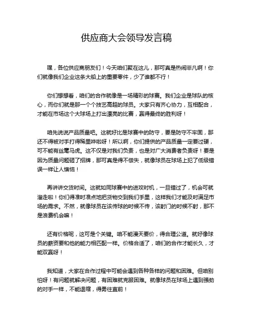 供应商大会领导发言稿