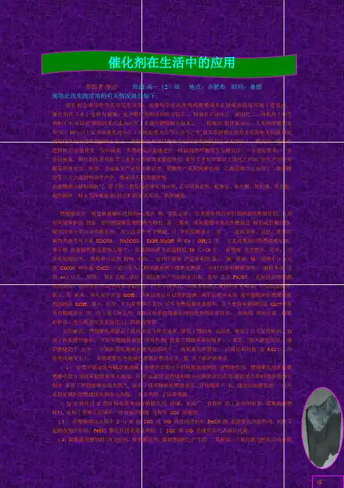 催化剂在生活中的应用