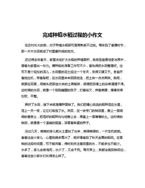 完成种植水稻过程的小作文