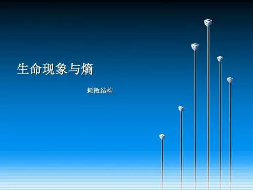 生命现象与熵