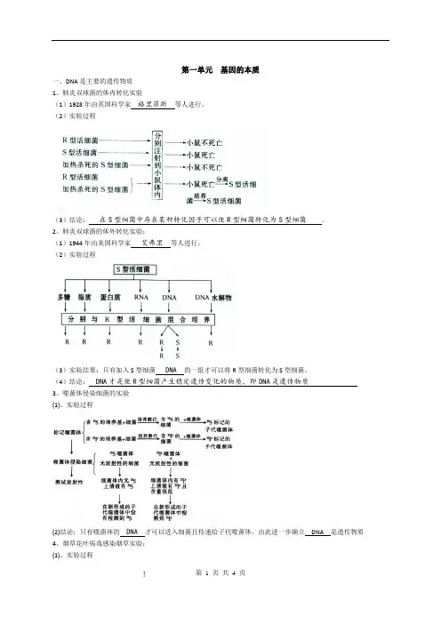 专题2 基因的本质和表达-高考生物必修知识点归纳(背记版)