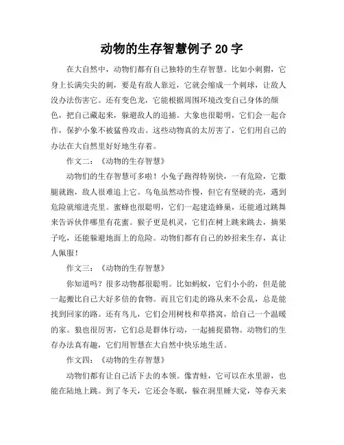 动物的生存智慧例子20字