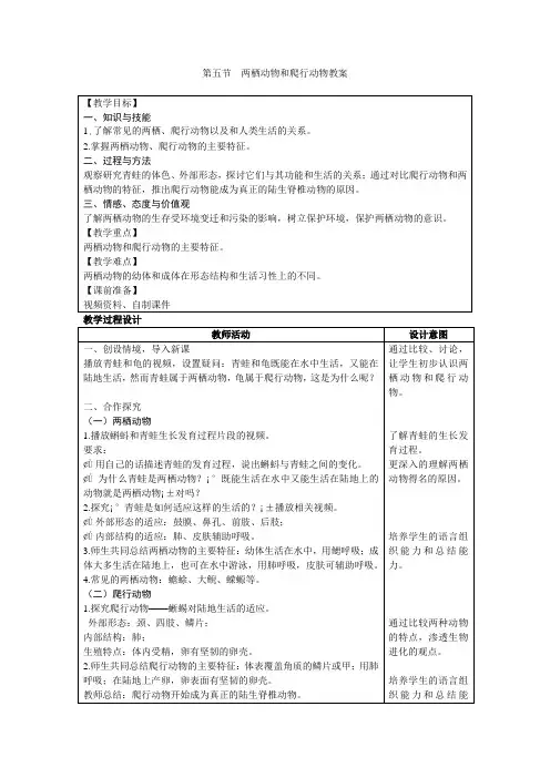 人教版八年级生物上册两栖动物和爬行动物教案
