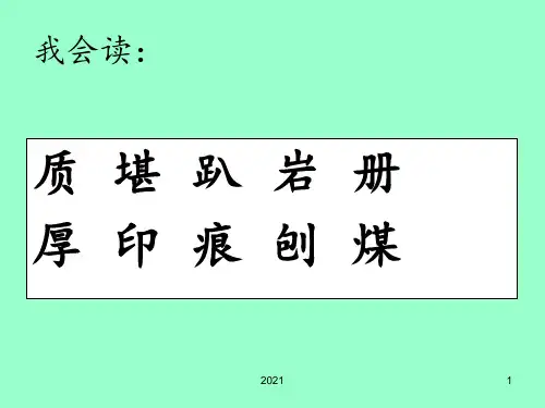 《最大的书》概要PPT课件