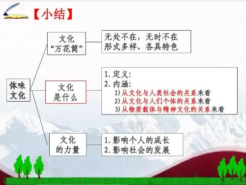 文化生活1.2文化与经济政治 上课自用