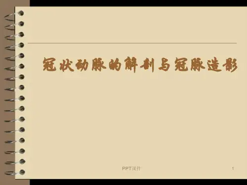 冠状动脉的解剖与冠脉造影  ppt课件