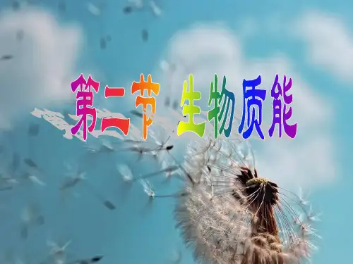 生物质能PPT精品课件