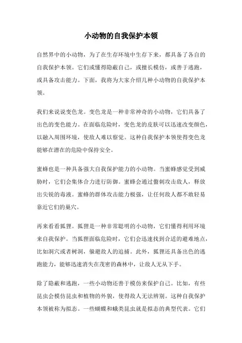 小动物的自我保护本领