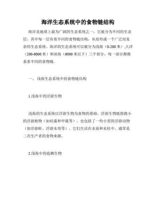 海洋生态系统中的食物链结构