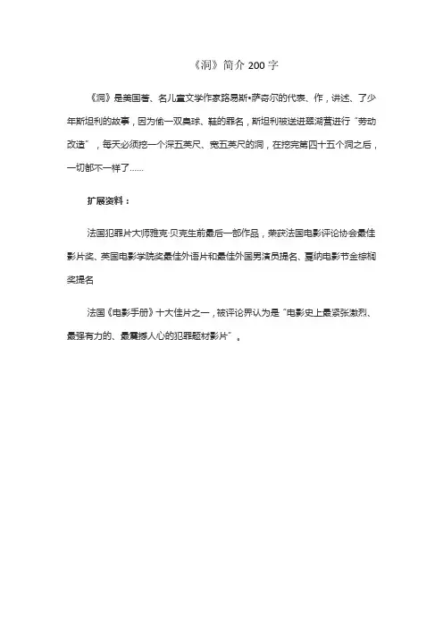 《洞》简介200字