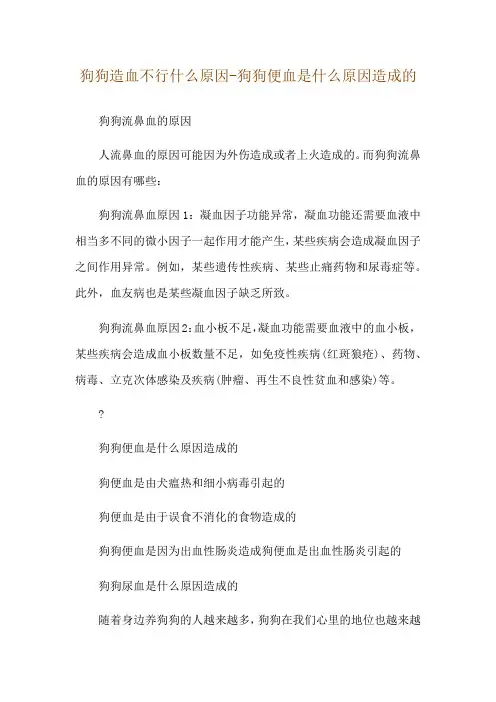 狗狗造血不行什么原因-狗狗便血是什么原因造成的