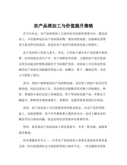 农产品深加工与价值提升策略