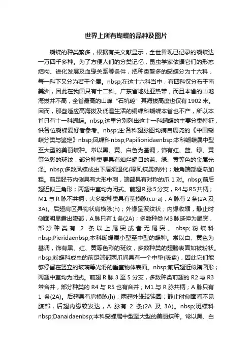 世界上所有蝴蝶的品种及图片