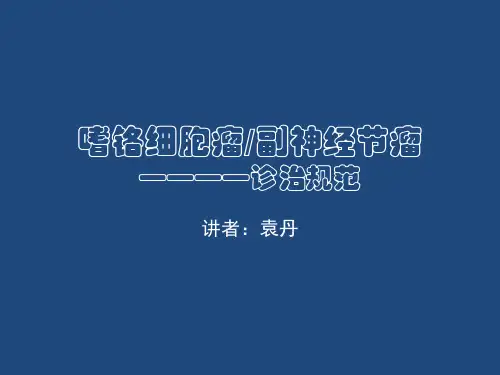 中国泌尿外科疾病诊疗指南-嗜铬细胞瘤