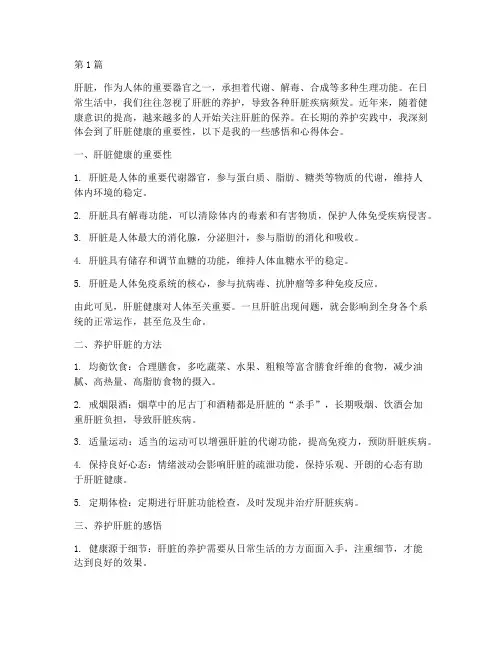 养护肝脏感悟心得体会(3篇)