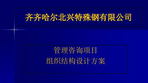 管理咨询项目组织结构设计方案(PPT 78页)