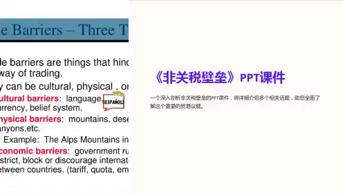 《非关税壁垒》课件