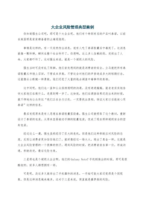 大企业风险管理典型案例