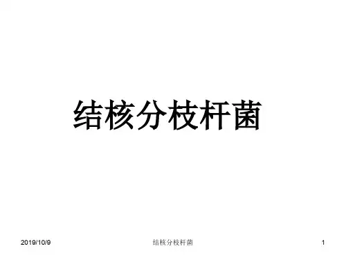 结核分枝杆菌