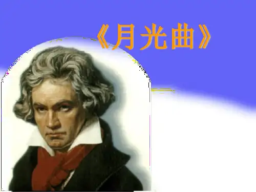 《月光曲》课件PPT完美