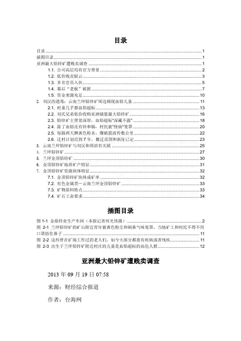 亚洲最大铅锌矿遭贱卖调查
