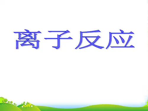 人教版高中化学必修一第二章第二节离子反应 课件(共20张PPT)