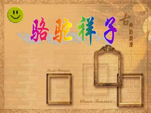 《骆驼祥子》ppt课件