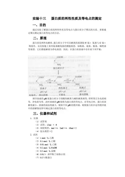 实验十三蛋白质的两性性质及等电点的测定