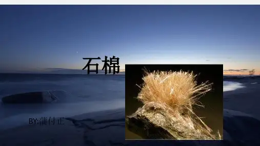 石棉简介(PPT)