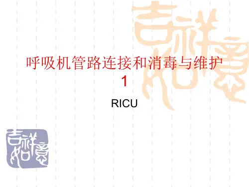 呼吸机管路连接和消毒与维护 1