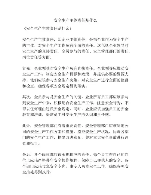 安全生产主体责任是什么