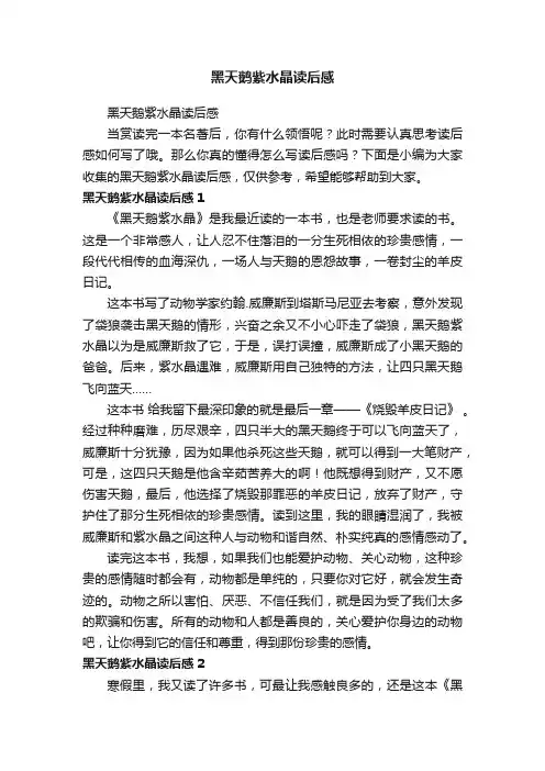 黑天鹅紫水晶读后感
