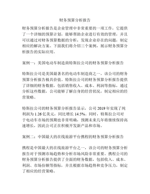 财务预算分析报告