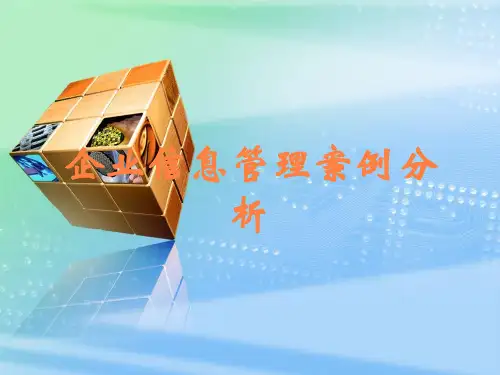 企业信息管理案例分析