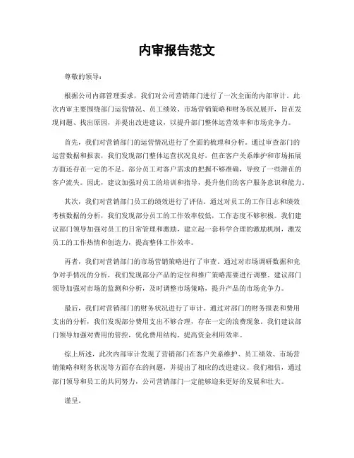 内审报告范文