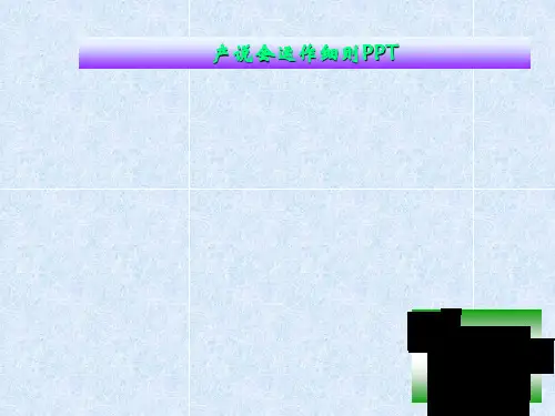 产说会运作细则PPT