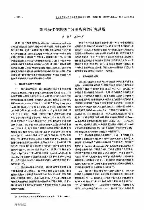 蛋白酶体抑制剂与肾脏疾病的研究进展