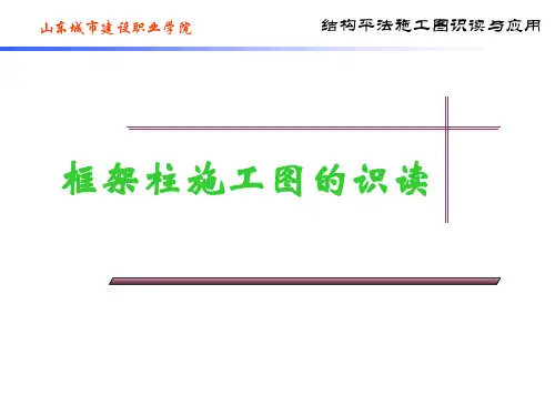 柱-建筑结构平法施工图识读精品PPT课件