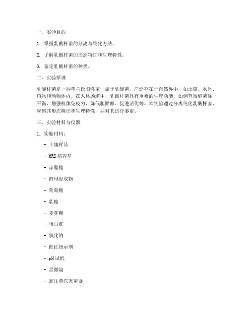 乳酸杆菌实验报告